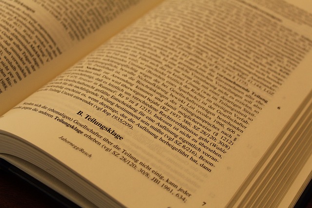 Les principes fondamentaux du droit pénal
