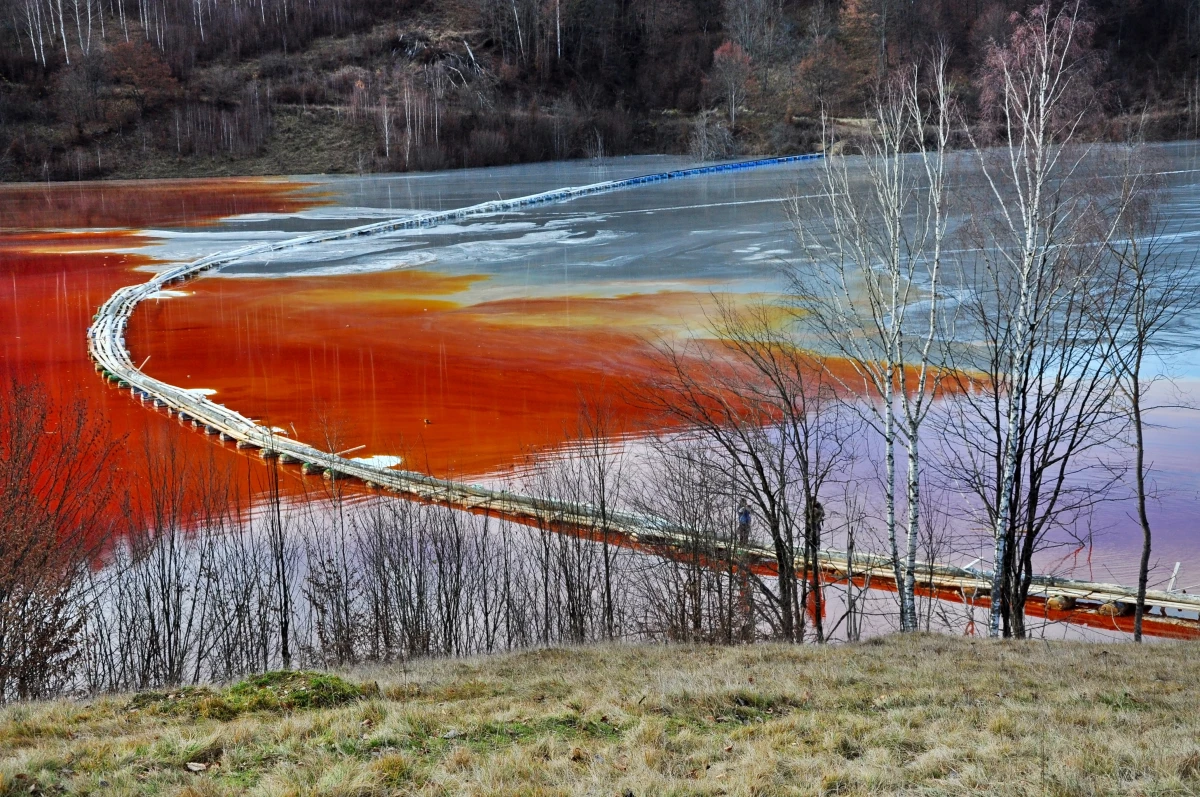 Catastrophes naturelles : Maîtrisez vos droits à l'indemnisation