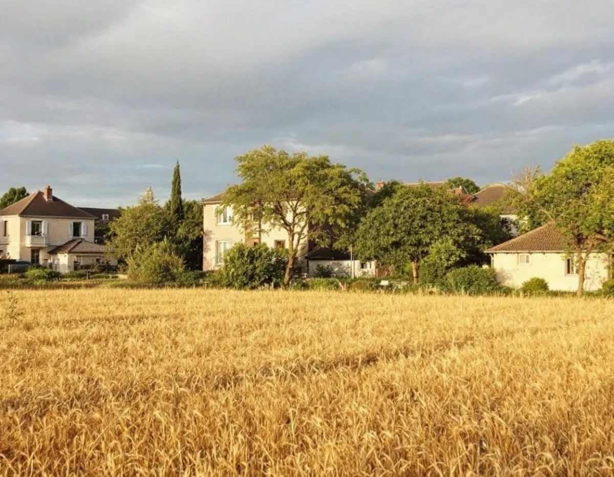 La copropriété décodée : maîtriser vos droits et obligations pour une harmonie collective